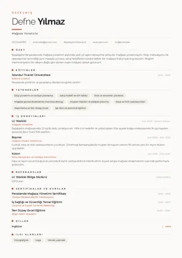 Yönetici CV Örnekleri cv indir